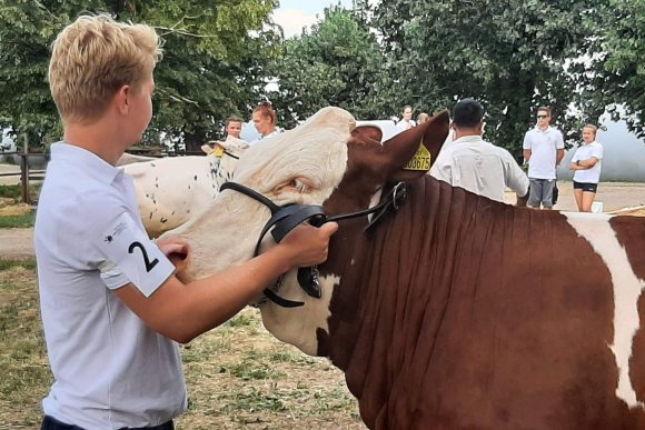 Národní výstava Den českého strakatého skotu - hlavní náhled