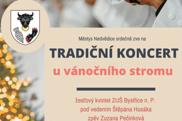 Tradiční vánoční koncert - hlavní náhled