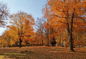 Zámecký park Moravec