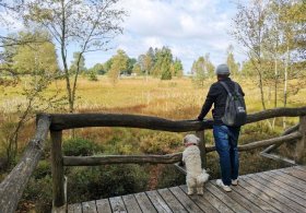 Rezervace Dářko a Radostínské rašeliniště