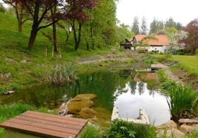 Mlýnský vodní bar