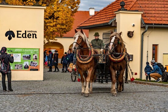 Hubertova jízda v Bystřici nad Pernštejnem