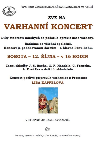 Dalecin varhanni koncert