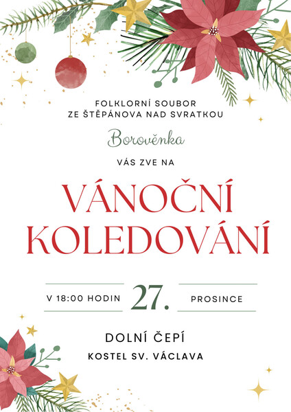 Dolni cepi