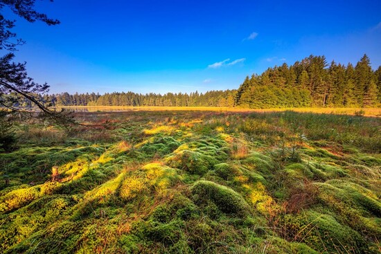 chkozdarskevrchy raseliniste