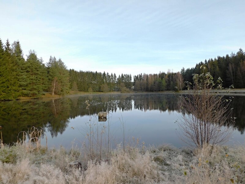 Rybník Chochol ve Svratouchu