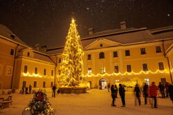 Čekání na příchod Ježíška zpestří rozzářené adventní dekorace, okna domů nebo výzdoba